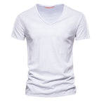 Classic V-Neck Men's T-Shirt