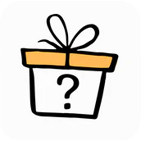 Mystery Jewelry Gift